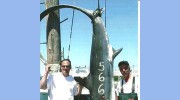 Montauk Fishing Charter Boats