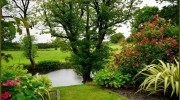 Complete Home Maintenance