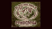 Big Rock Dude Ranch At Ponderosa