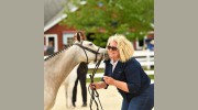 Saddle Lake Equestrian Center