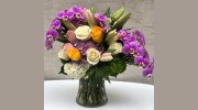 House Of Flowers