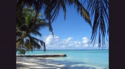 Luxurious Carib Tours & Taxi Jamaica