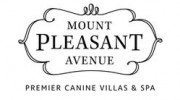 Mount Pleasant Avenue Premier Canine Villas
