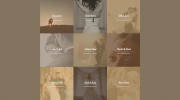 Dotson Studios
