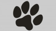 Northtowne Animal Clinic
