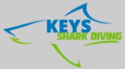 Keys Shark Diving