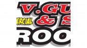 V Guinta & Sons