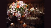 Joseph Leigh Designs