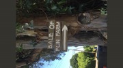 Bale Of Fun Farm