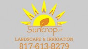 Suncrop