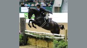 River Bend Stables
