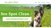Spot Clean