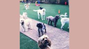 Fritz Kennel