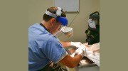 Bell Shoals Animal Hospital