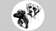 Dog Dog Daycare