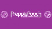 Preppie Pooch