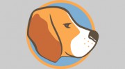 Healthy Hound Playground & Grooming Salon & Spa