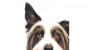 Hunterdon's Best Pet Care