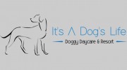 It's A Dog's Life Doggy Daycare & Resort