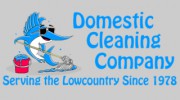 Domestic Cleaning