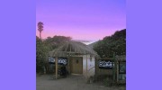 Eli Howard Surf School