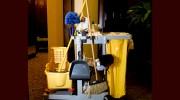 Green Mop Janitorial