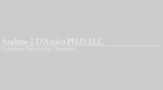 Andrew J D'Amico, PhD