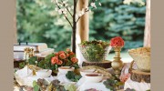 Gina MacNeil Catering For All Occasions