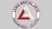 Lewis Martial Arts