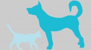 Canine Kennels Of Clarence