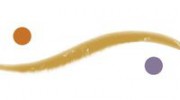 Rivers Of Wellness Acupuncture