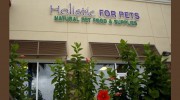 Holistic For Pets