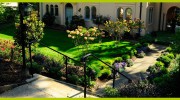 Twig & Vine Design