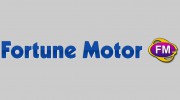 Fortune Motor Group