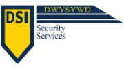 DSI Security