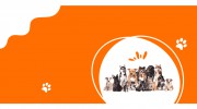 Hilltop Kennels