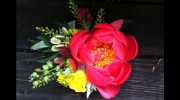 Goose Hollow Flowers