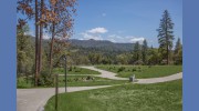 The Grove
