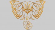 Kimimi Healing Arts