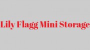 Lily Flagg Mini Storage