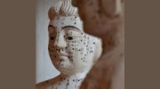Blume Acupuncture & Wellness