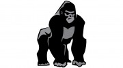 Silverback Coatings