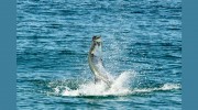 Emerald Coast Outfitters