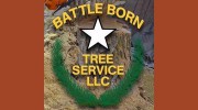 Battle Born Tree Services