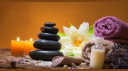 Wellness Wisdom