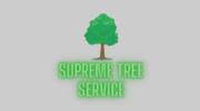 Tree Service Denver
