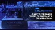 Mallard Charters