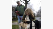 Pt's Pet Sitting Service