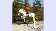 Magic Mountain Farm