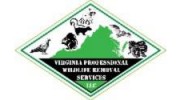 Virginia Professional Wildlife Removal Services